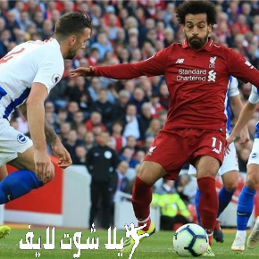 ما هو موعد مباراة ليفربول أمام نظيره برايتون ؟